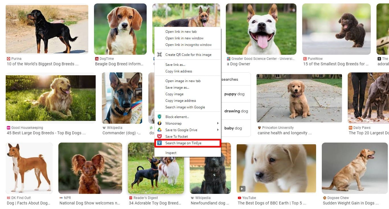Searching an image with TinEye on Chrome