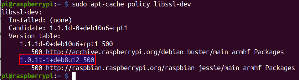 check libssl dev library version