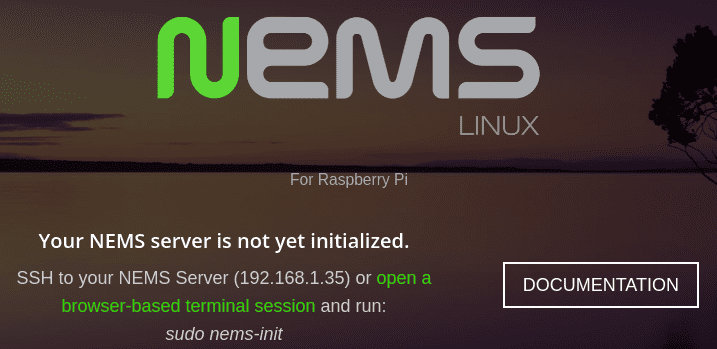 nems browser window
