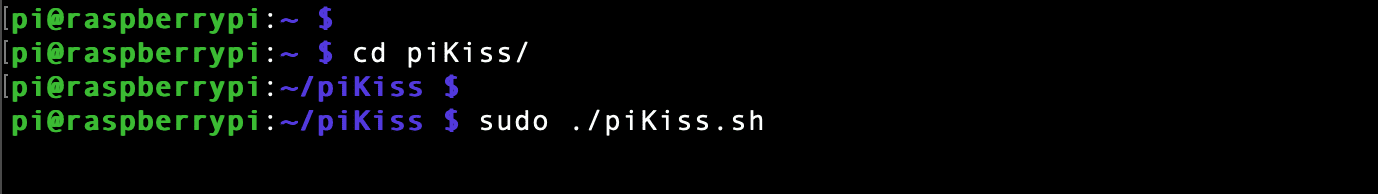 launch pikiss from terminal