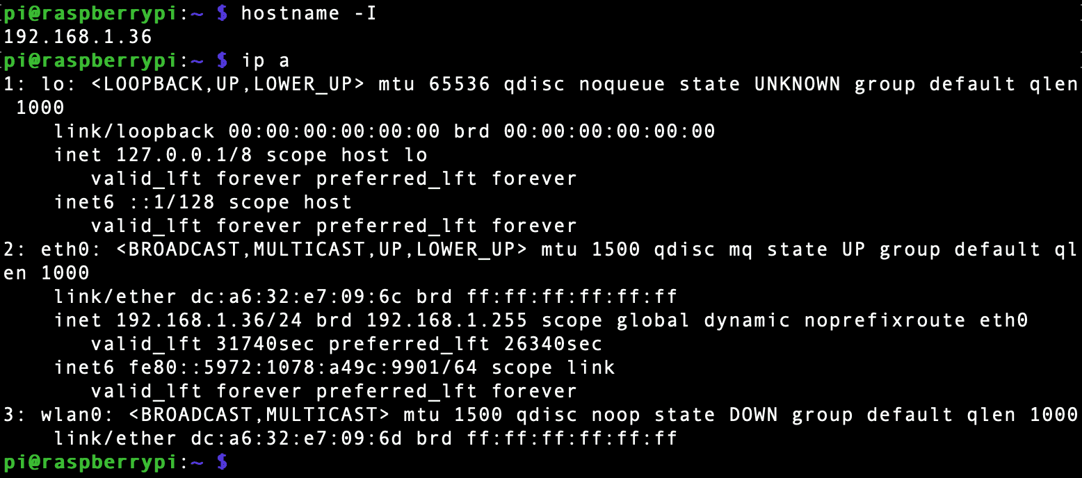 raspberry pi ip address