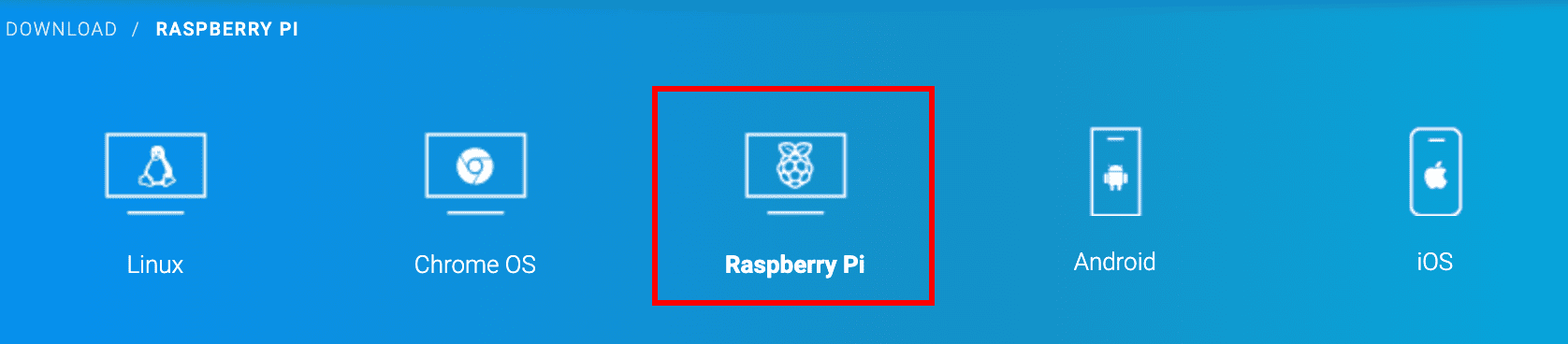 teamviewer for raspberry