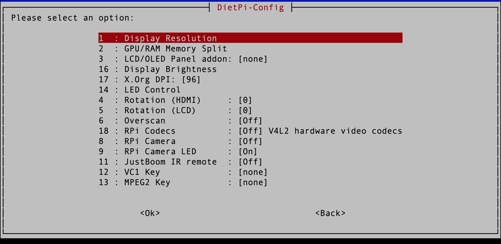 dietpi config display options