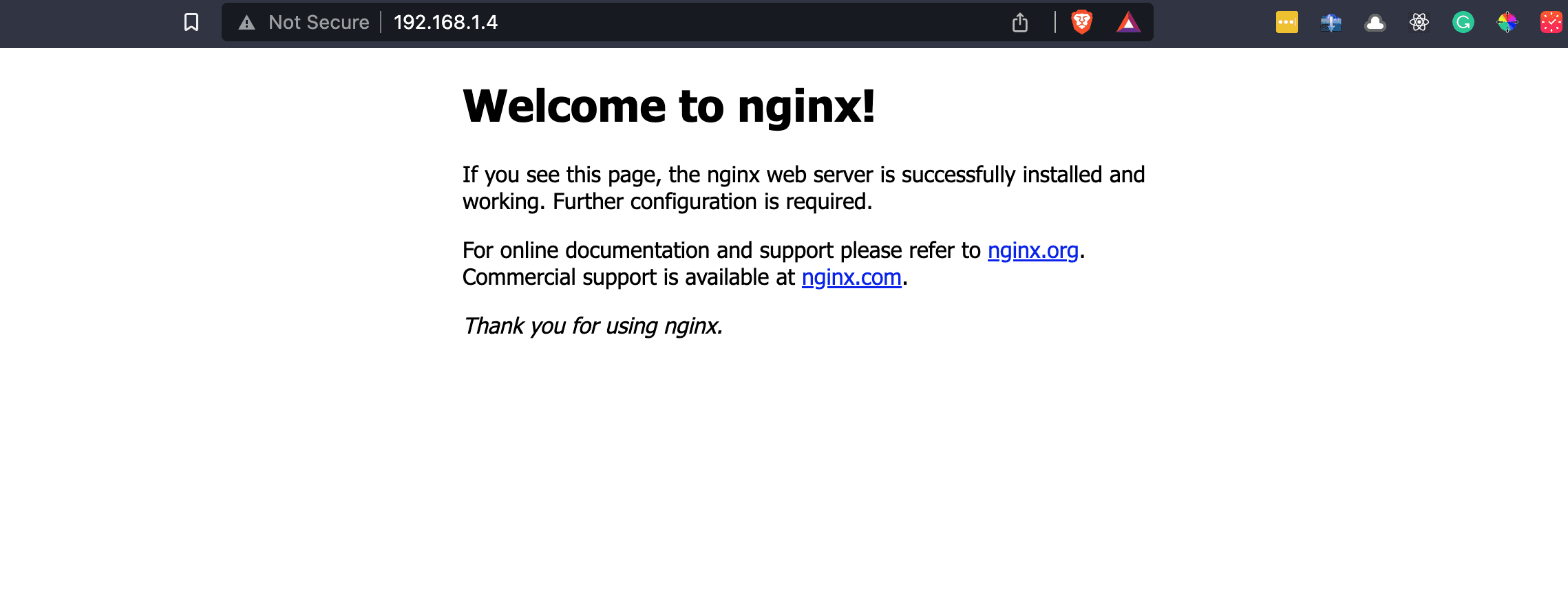 nginx default website