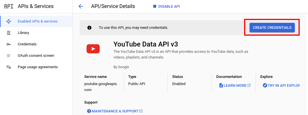 api details